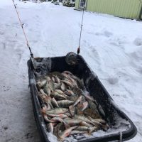 ICE FISHING FOR PERCH ON PÄRNU BAY 8
